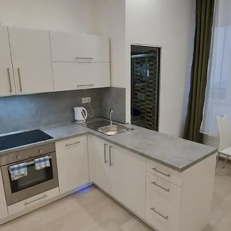 Krale Jiriho Appartement Karlsbad