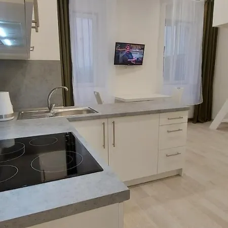 Krale Jiriho Apartament *