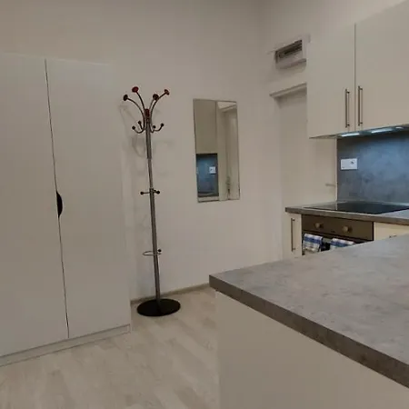 Apartamento Krále Jiřího *