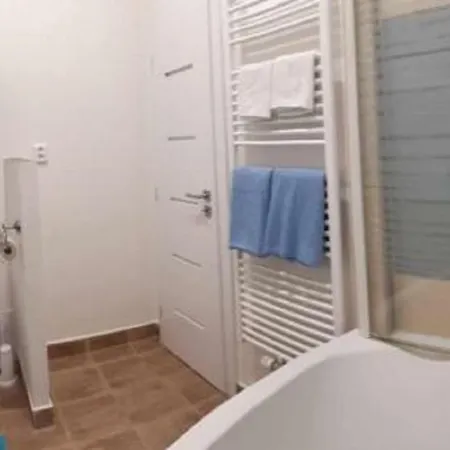 Apartament Krale Jiriho *
