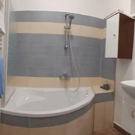 Apartamento Krále Jiřího *