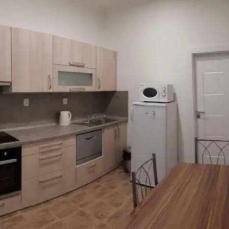 Apartamento Krále Jiřího *
